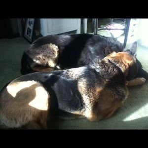 Meet your Posher, Patricia